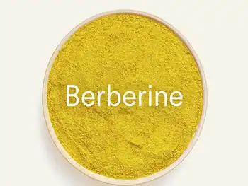 Why Choose Berberine HCL Powder for Advanced Blood-Sugar Management?