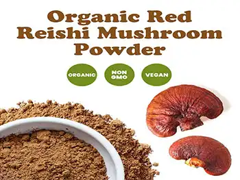Reishi Mushroom Powder: Premium Adaptogen for Stress & Immune Balance