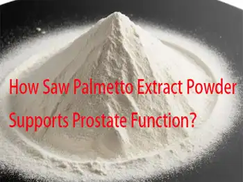 How Saw Palmetto Extract Powder Supports Prostate Function？