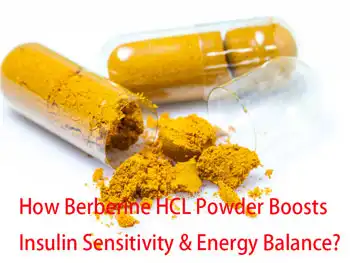 How Berberine HCL Powder Boosts Insulin Sensitivity & Energy Balance?