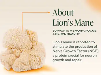 Why Is Lion’s Mane Mushroom Extract Powder Popular for Brain Health?
