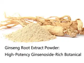 Ginseng Root Extract Powder: High-Potency Ginsenoside-Rich Botanical