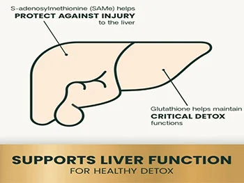 Why Choose S-Adenosyl-L-Methionine Powder for Joint & Liver Support?