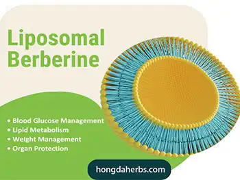 Liposomal Berberine Powder: Lipid Metabolism & Weight Management Support
