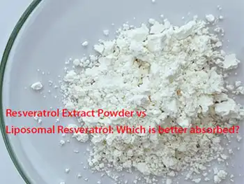 Resveratrol Extract Powder vs Liposomal Resveratrol: Which is better absorbed?