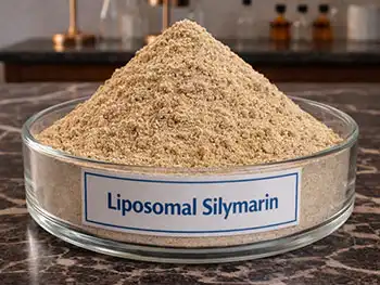 Can Liposomal Silymarin Powder Support Digestive Wellness?