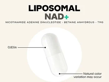 What to Look for When Buying High-Quality Liposomal NAD+ Powder?