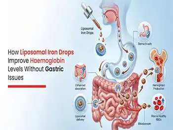 Why Is Liposomal Iron Powder Gentler on the Stomach Than Sulfate?