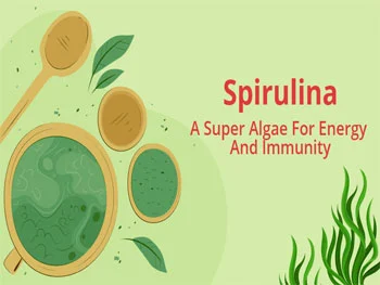 Can Organic Spirulina Powder Improve Energy and Immunity Naturally?
