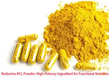 Berberine HCL Powder: High-Potency Ingredient for Functional Nutrition