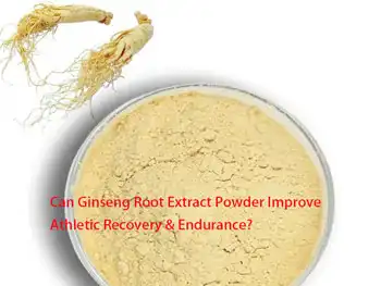 Can Ginseng Root Extract Powder Improve Athletic Recovery & Endurance?