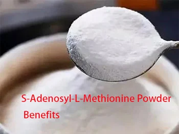 How S-Adenosyl-L-Methionine Powder Enhances Mood, Energy & Recovery?