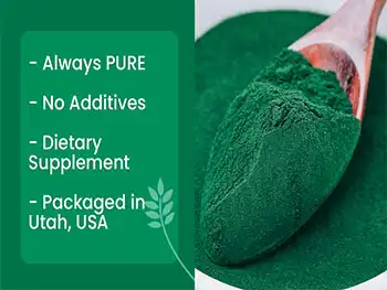 Is Organic Spirulina Powder the Best Source of Plant-Based Protein?
