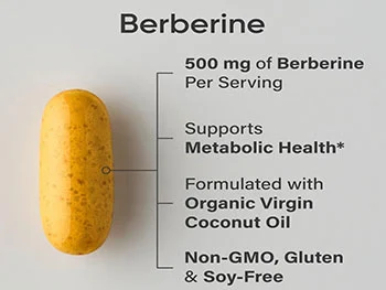 Can Berberine HCL Powder Support Cardiovascular & Lipid Health?