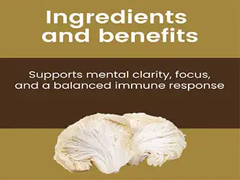 Is Lion’s Mane Mushroom Extract Powder Effective for Mood Enhancement?