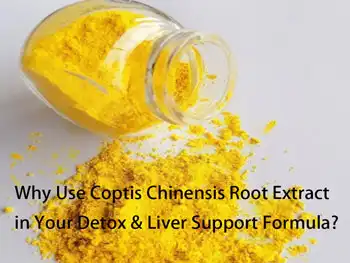 Why Use Coptis Chinensis Root Extract in Your Detox & Liver Support Formula?