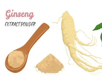 Ginseng Extract Powder for Immune Support and Daily Resilience
