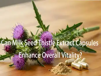 Can Milk Seed Thistle Extract Capsules Enhance Overall Vitality?
