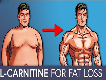 kesan pengambilan l carnitine Powerlife L-Carnitine best seller Suplemen tenaga & kecergasan Bilakah Masa Terbaik Untuk Mengambil