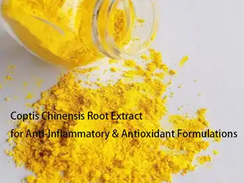 Coptis Chinensis Root Extract for Anti‑Inflammatory & Antioxidant Formulations