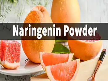 Key QC Checks in Naringenin Powder Production Every Buyer Must Verify