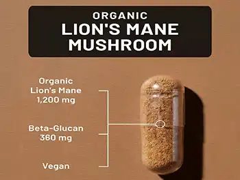 Why Hericium Erinaceus Capsule Quality Matters in Bulk Orders?