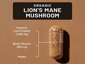 Why Choose Organic Lion's Mane Mushroom Capsules for OEM?