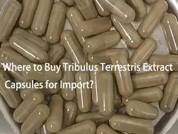 Where to Buy Tribulus Terrestris Extract Capsules for Import?