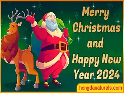 Wishing Merry Christmas To Our Esteemed International Clients!