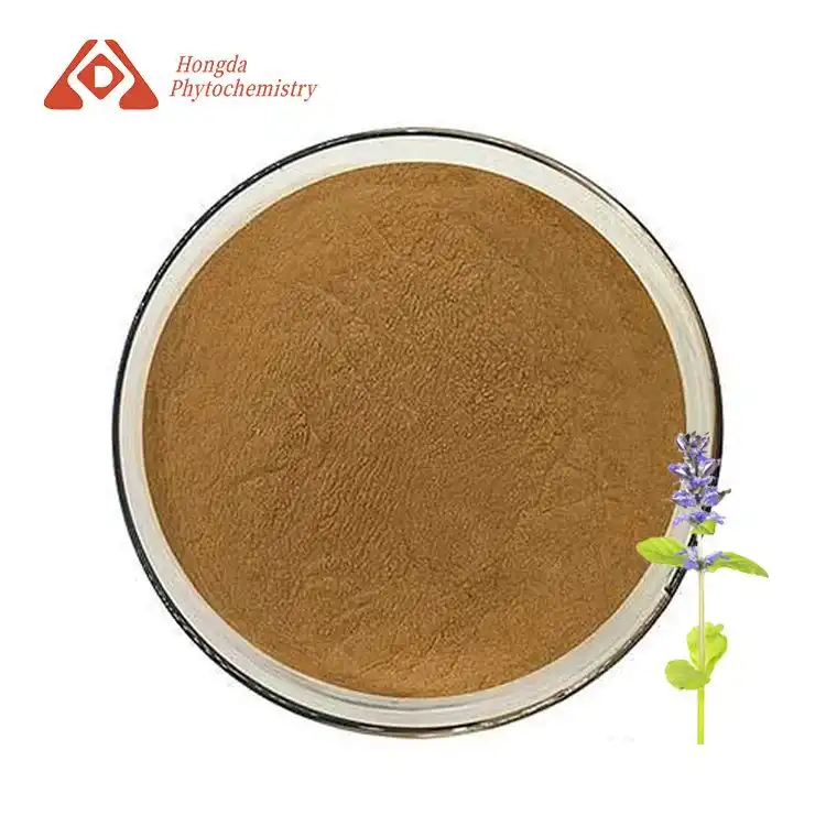 Ajuga Turkestanica Extract Powder