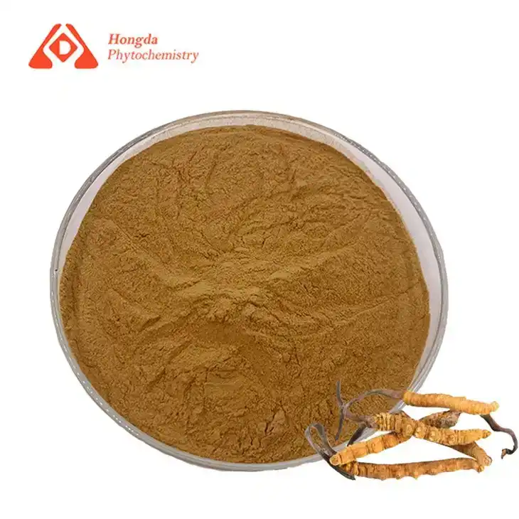 Cordyceps Sinensis -jauhe Cordyceps Sinensis -jauhe