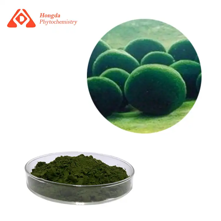 Organic Chlorella Powder Bulk