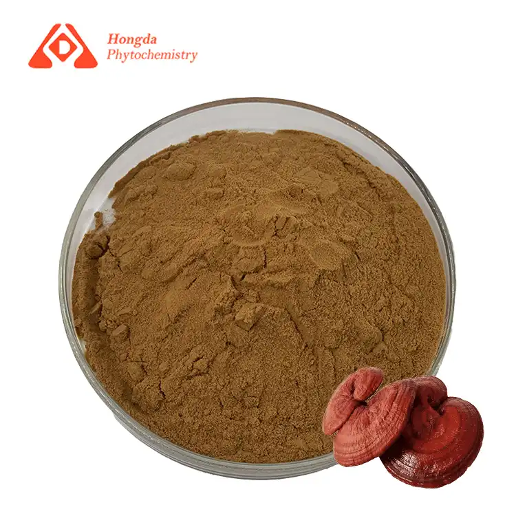 Reishi gombapor