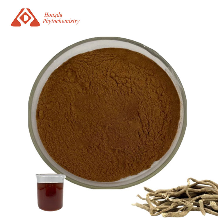 Angelica Extract Powder