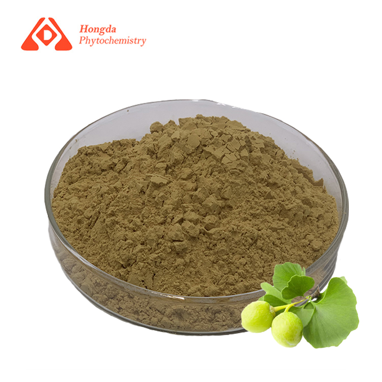 Ginkgo Biloba -uutejauhe