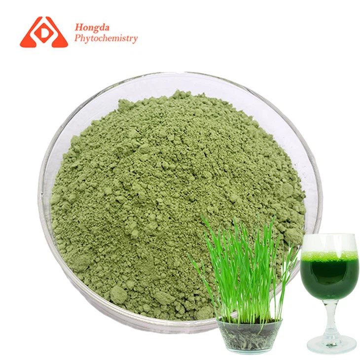 Freeze Dried Barley Grass Juice Powder