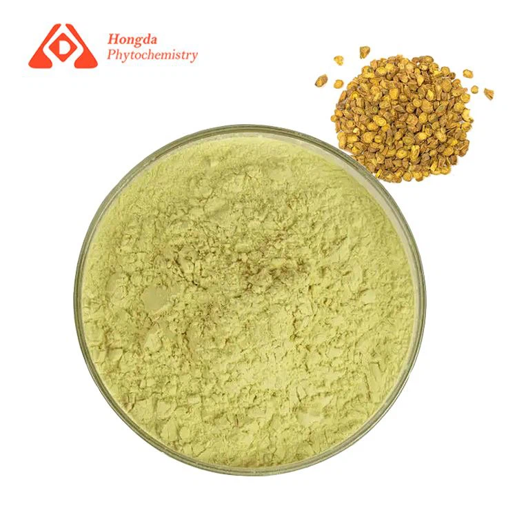 Scutellaria Baicalensis Extract Powder