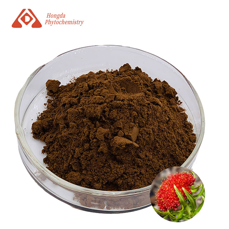 Rhodiola Rosea Extract Powder