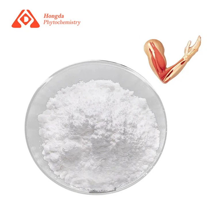 Kreatin Monohydrate Powder Bulk