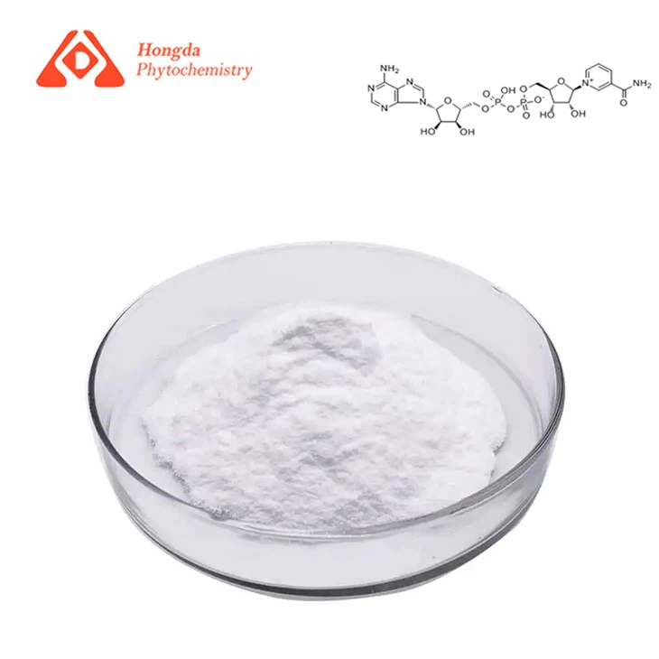 Nicotinamide Adenine Dinucleotide Powder