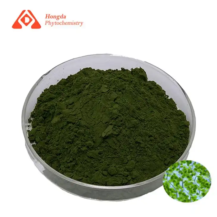 Chlorella fehérje por