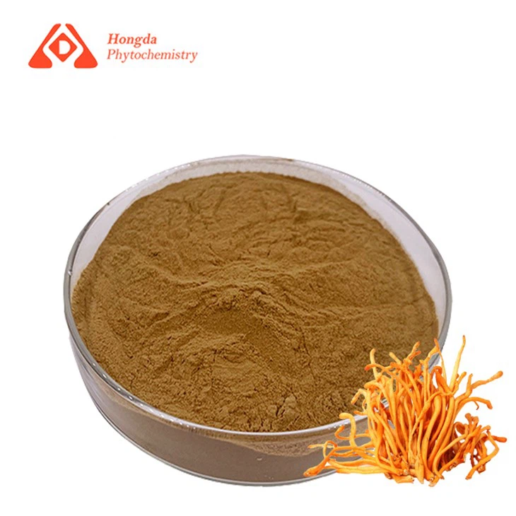 Cordyceps Militaris kivonat por Cordyceps Militaris kivonat por