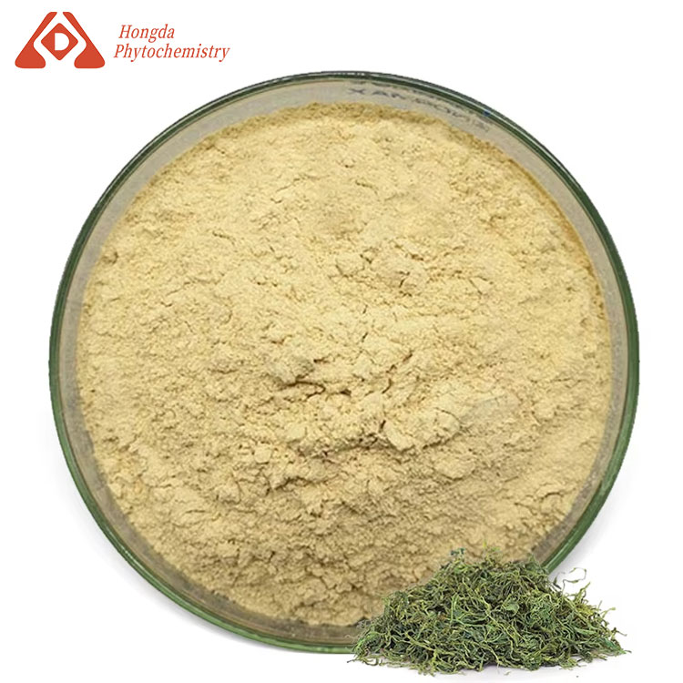 Gynostemma Pentaphyllum Powder