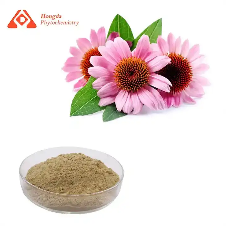 Echinacea-uutejauhe Echinacea-uutejauhe