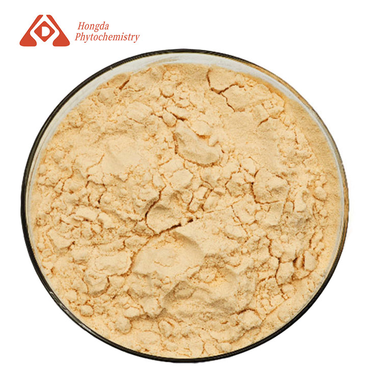 Soy Isoflavones Extract