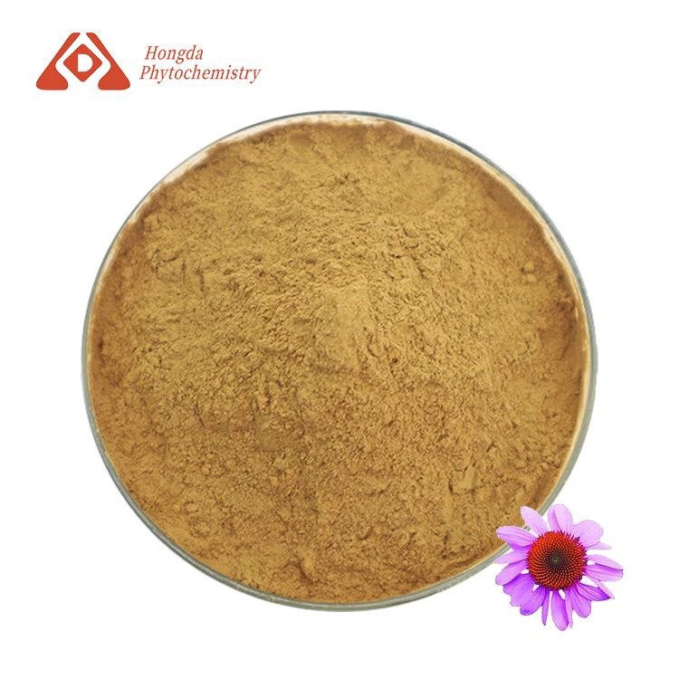  Echinacea Dry Extract Powder